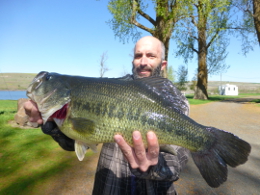 Big_Bass