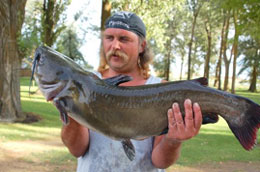 Catfish