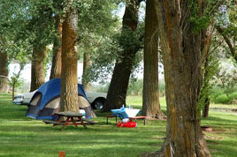 camping4